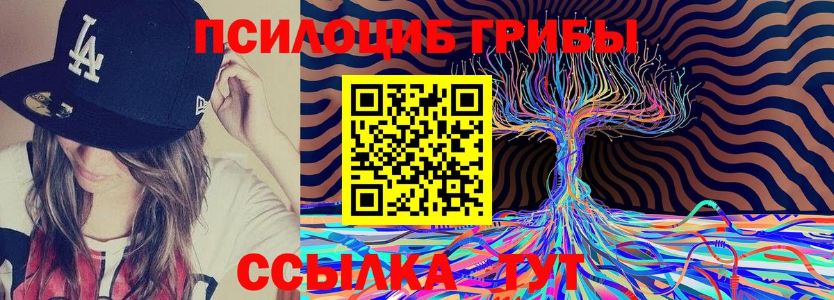 Галлюциногенные грибы GOLDEN TEACHER Гатчина