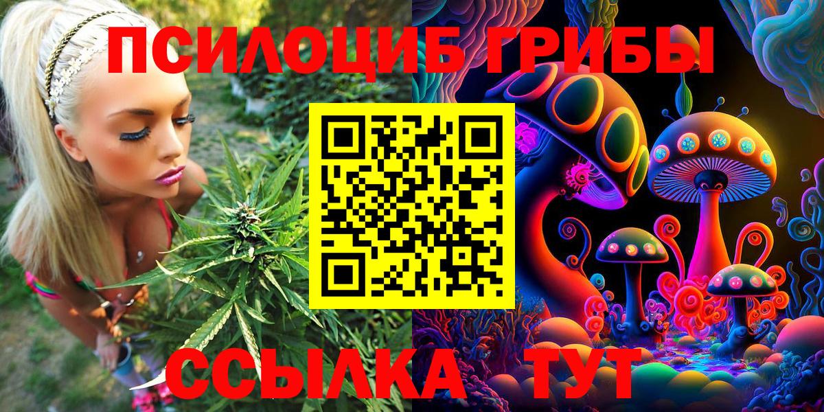 Гатчина  Псилоцибиновые грибы Psilocybine cubensis  Вход с VPN 