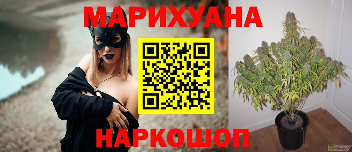 Марихуана тримм  Вход с VPN  Бошки Шишки AK-47  Бошки марихуана ГИДРОПОН  Гатчина 